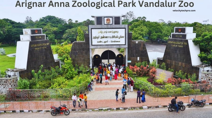 Arignar Anna Zoological Park Vandalur Zoo in Vandalur Tamil Nadu