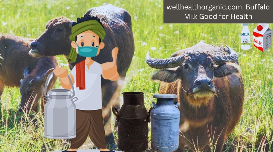 wellhealthorganic.com: Buffalo Milk Good for Health